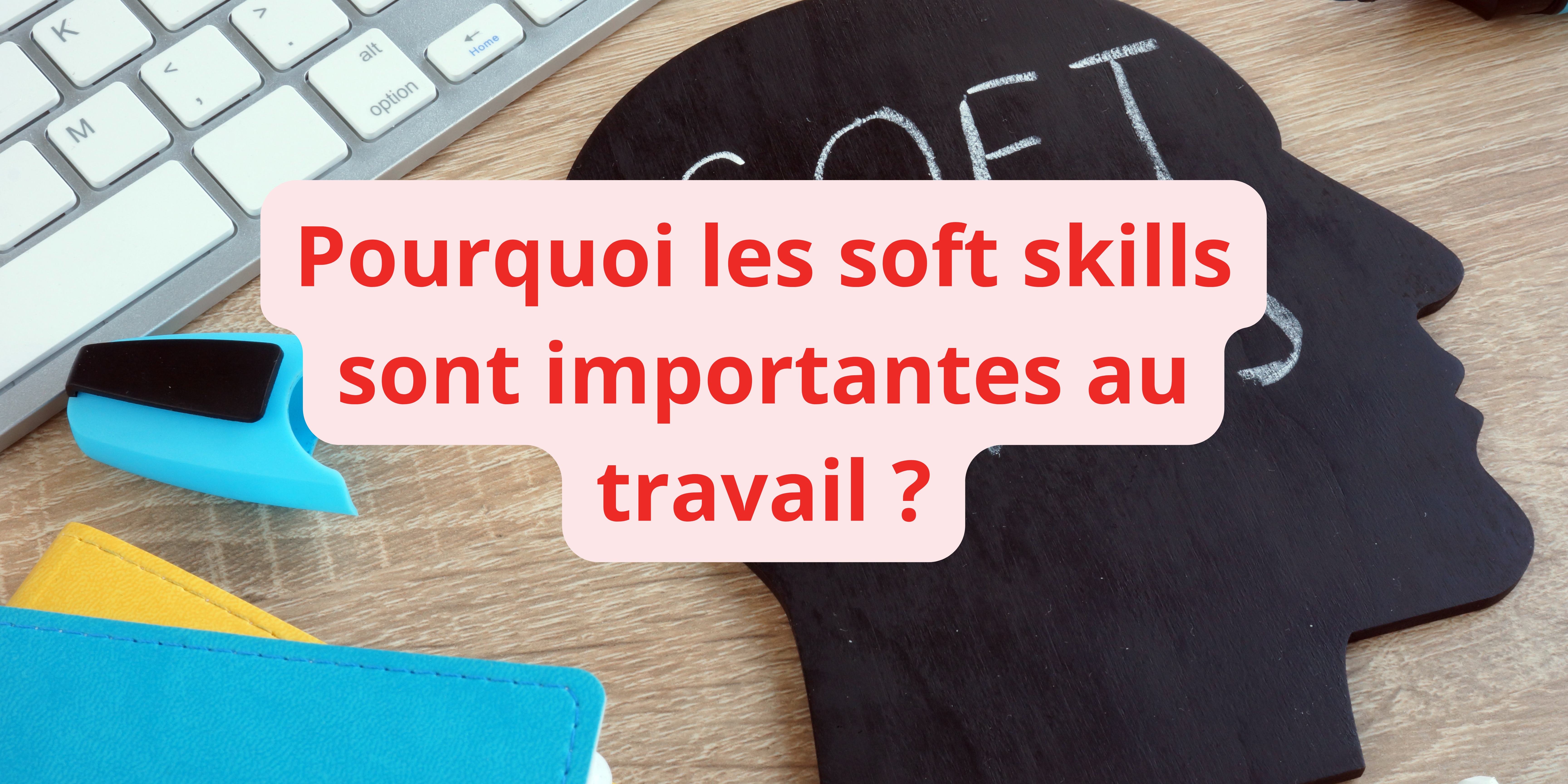 Quel est l'objectif principal du soft skills ?