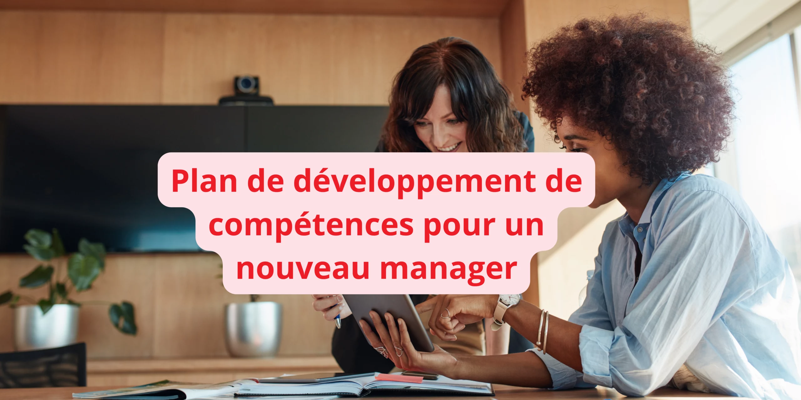 plan développement des compétences